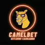 Camelbet Casino